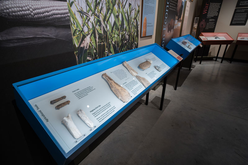 Custom cases were designed and built to showcase the extensive collection of artifacts.