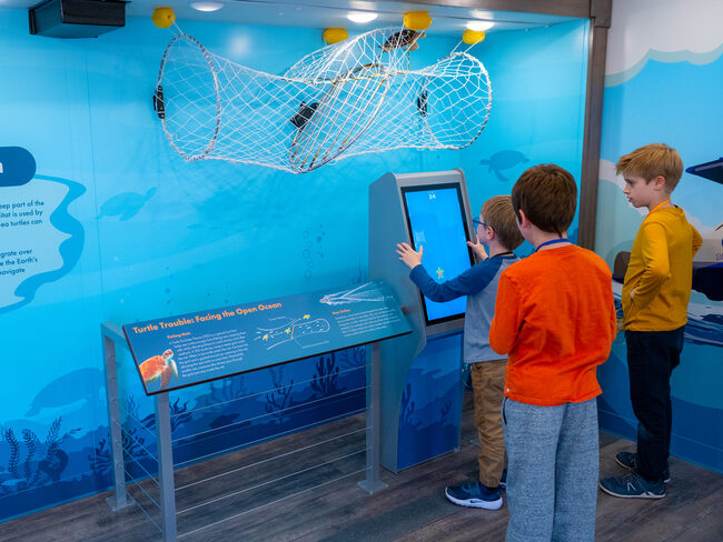 Sea Turtles: Healthy Habits & Oceans interactive exhibit at Clearwater Marine Aquarium