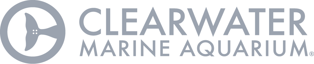 Clearwater Marine Aquarium