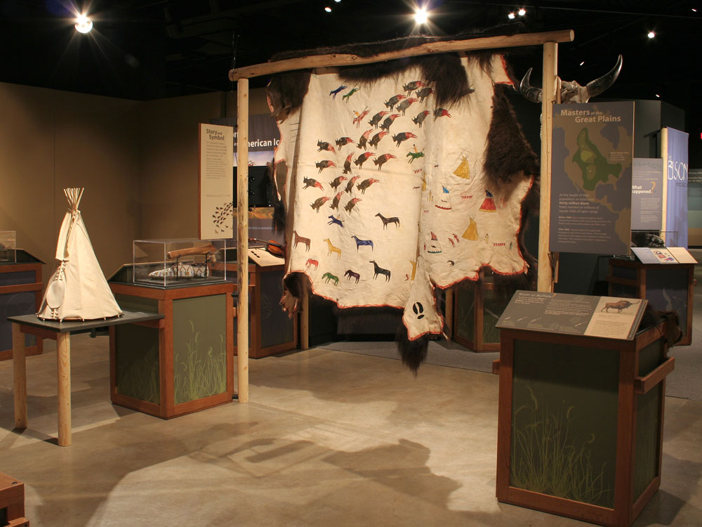 Upland Bison Crate exhibit